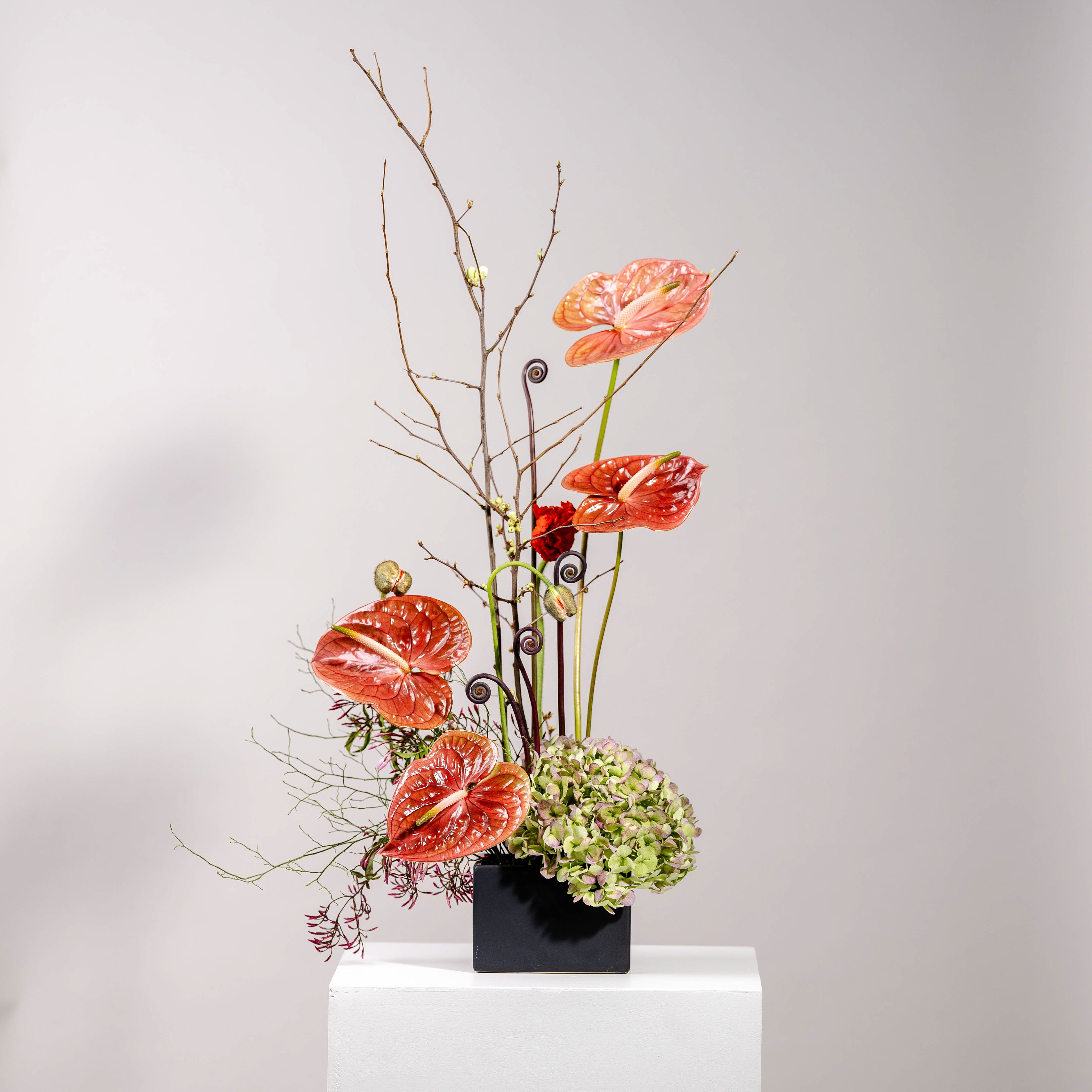 Tall floral arrangement with orange anthuriums and a green hydrangea in a black vase