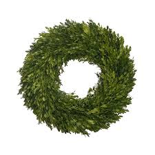Green foliage wreath on a white background