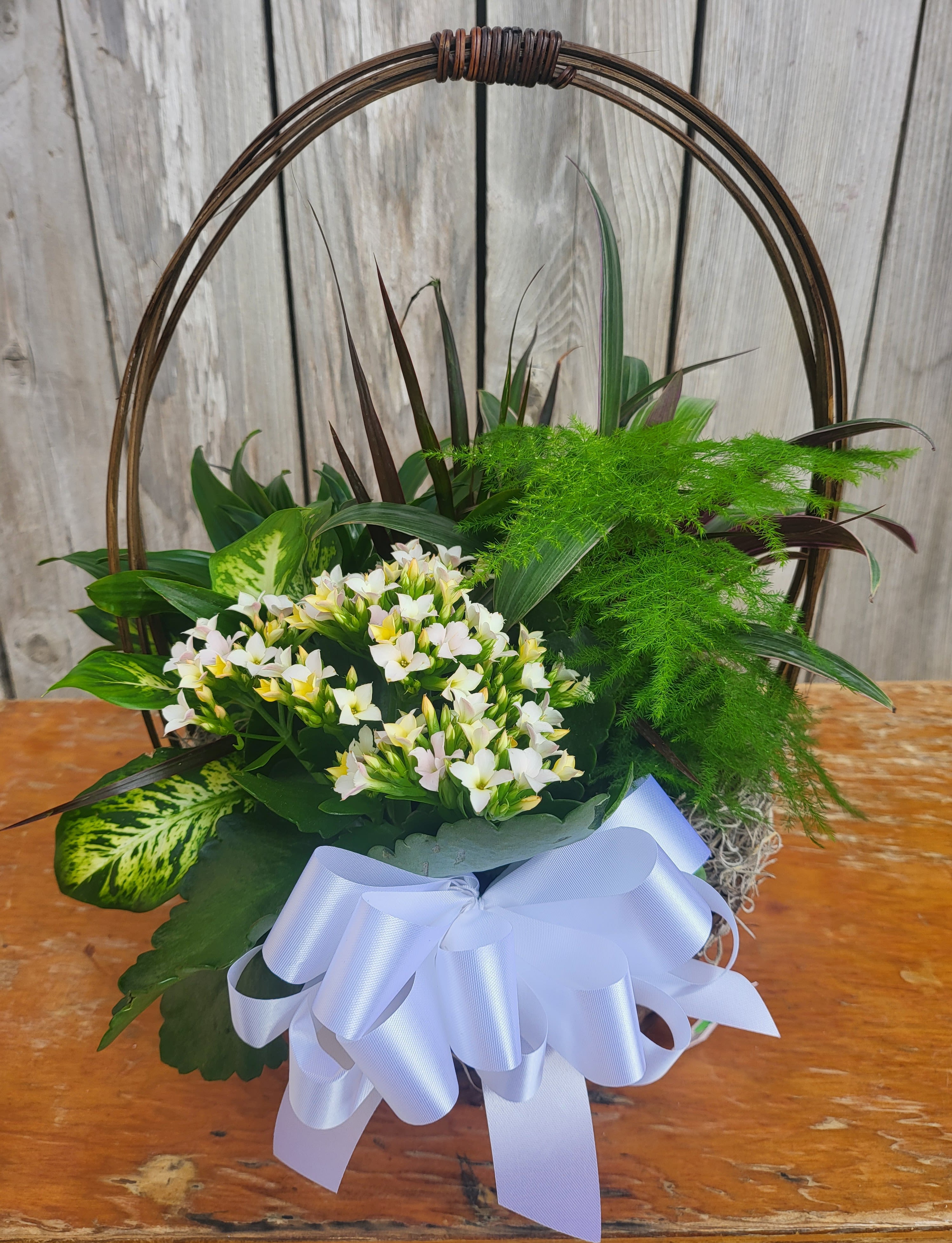 Basket arrangement of white flowers with a large white ribbon