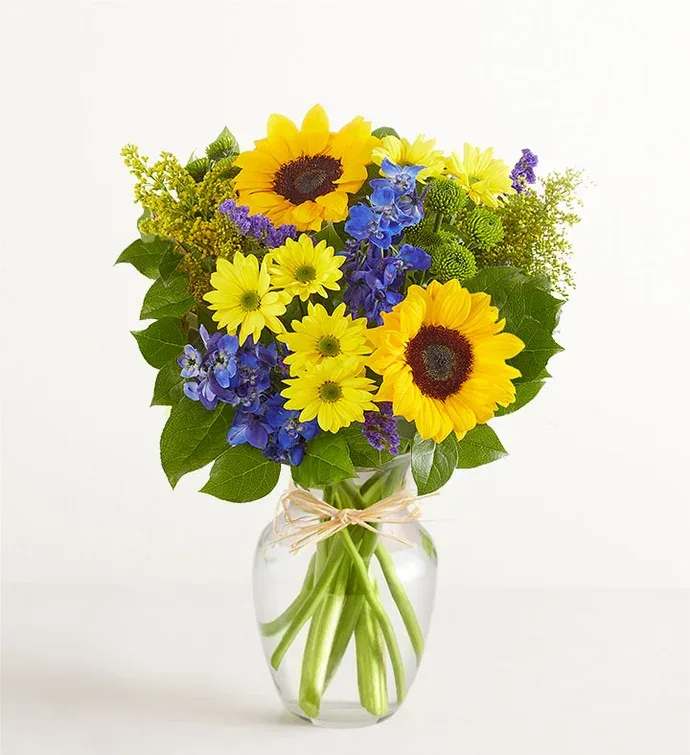 Fields Of Europe  - All-around arrangement with sunflowers, blue delphiniums, yellow daisy poms, green button poms, and purple statice, accented with assorted greenery Artistically designed in a clear glass vase accented with raffia; measures 8"H Premium arrangement measures approximately 18"H x 14"W Deluxe arrangement measures approximately 17"H x 13"W Standard arrangement measures approximately 16"H x 12"W 