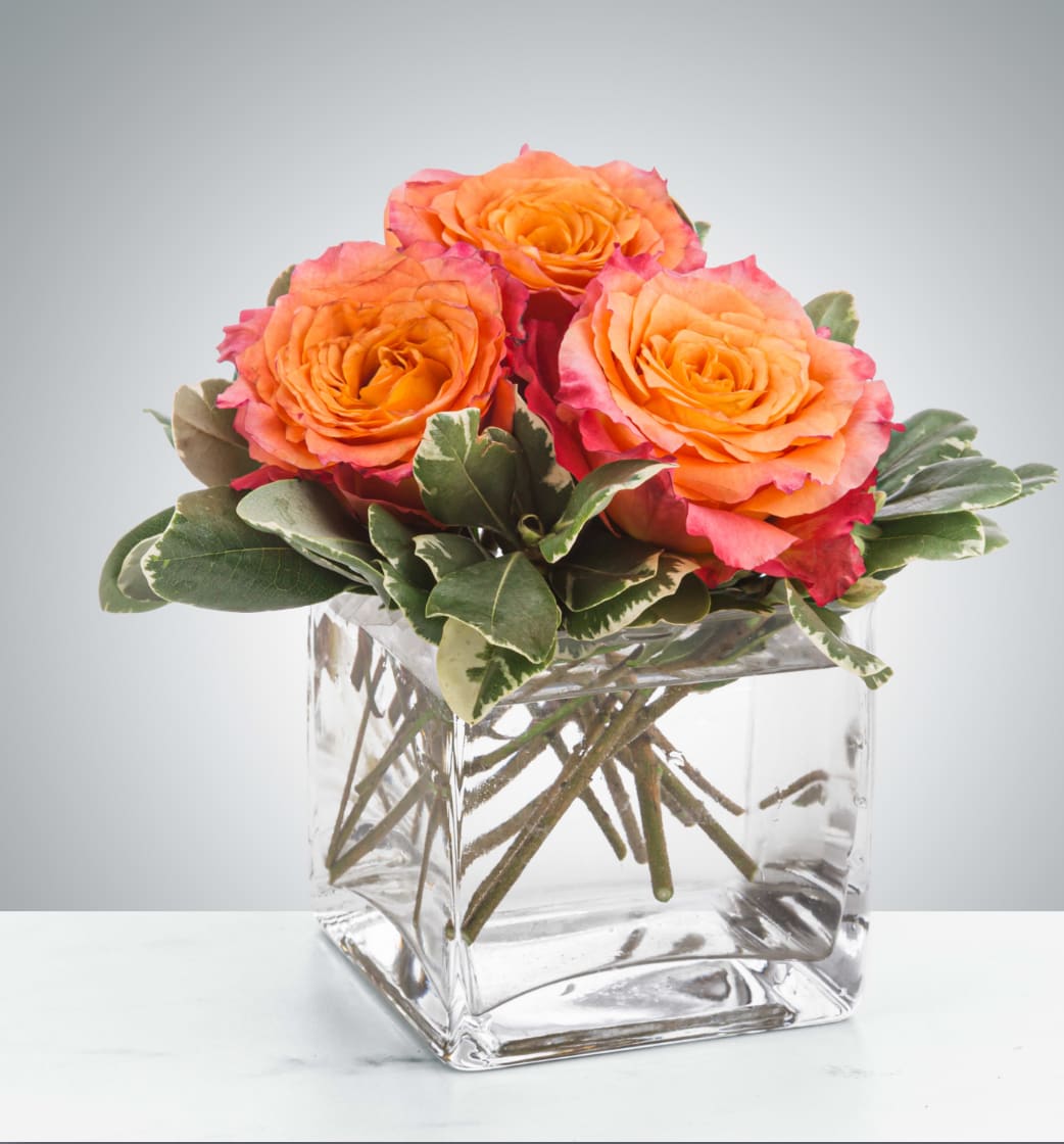 Petite Sunset  - A petite 3 rose gift is a perfect little "thinking of you" arrangement. Spirit roses are so beautiful on their own, they don't need much else to leave an impact.  Approximate Dimensions: 5"D x 5"H