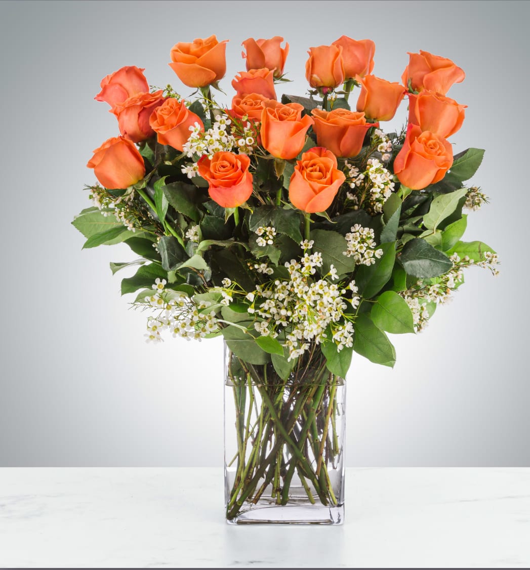 Long Stem Coral Roses - Coral roses represent enthusiasm! Send them to somebody to show your warmth or zeal. A perfect gift for Valentine's Day, an Anniversary, or just a surprise gift.  Approximate Dimensions: 18"D x 25"H