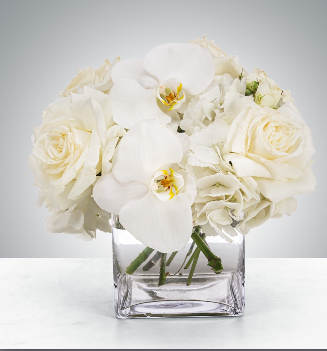 Linen  - This petite all-white arrangement featuring hydrangea and orchids is the perfect all-occasion gift. Send it for any holiday, event, or circumstance.  Approximate Dimensions: 8"D x 8"H