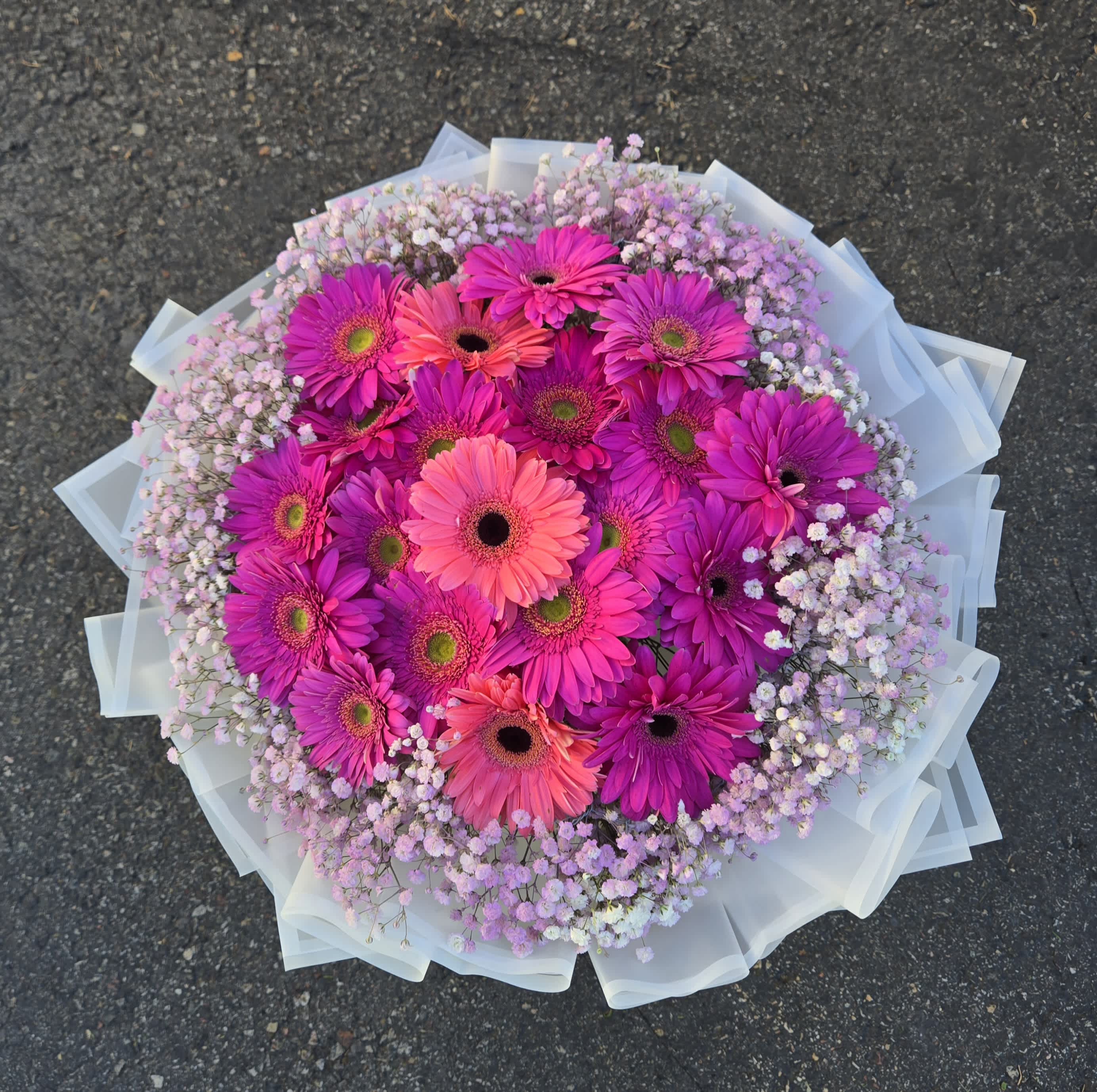 Round bouquet of pink gerbera daisies with pale filler flowers