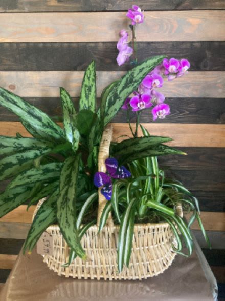 Basket planter with green foliage plants and purple orchids and a small decorative butterfly.