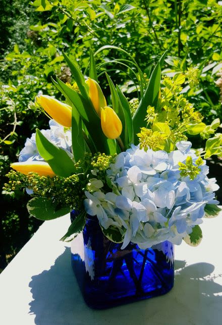 Yellow tulips and pale blue hydrangeas arranged in a cobalt blue glass cube vase