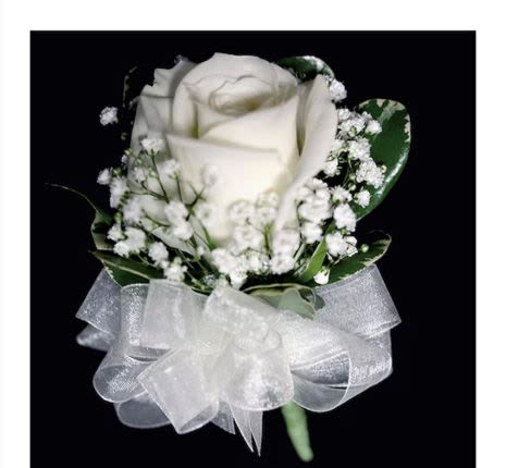 White rose corsage with baby's breath and sheer white ribbon bow on a black background.