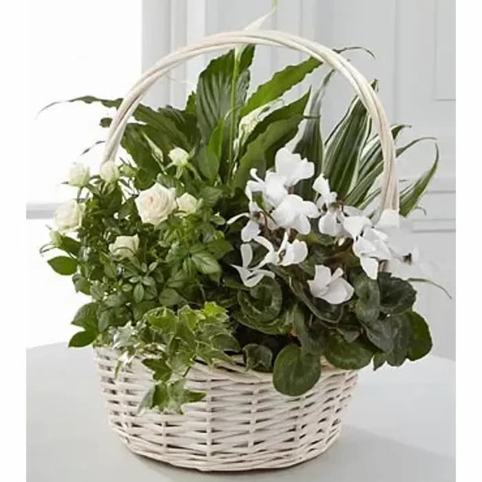 White wicker basket filled with green plants and white flowers