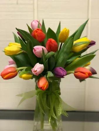 Bouquet of multicolored tulips in a clear glass vase with a green ribbon bow