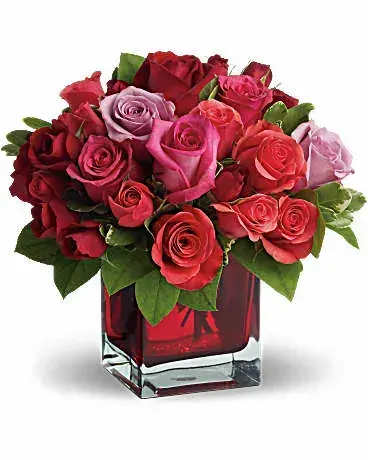 Red, pink, and lavender roses arranged tightly in a red glass cube vase