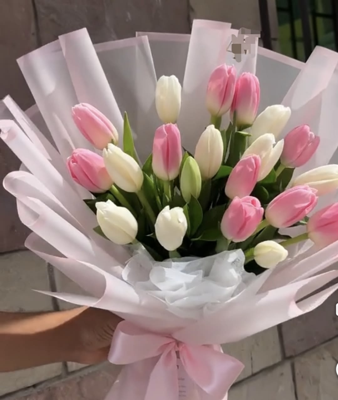 Bouquet of pink and white tulips wrapped in pale pink paper