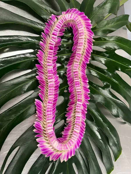 Pink lei draped over large split green leaves