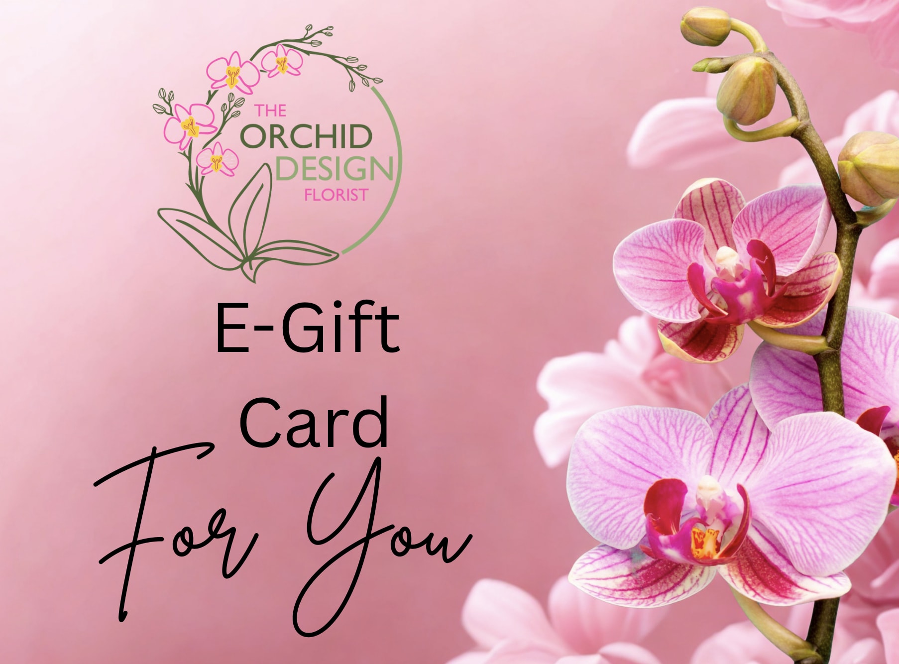 Pink orchid e-gift card with orchid blossoms on a pink background