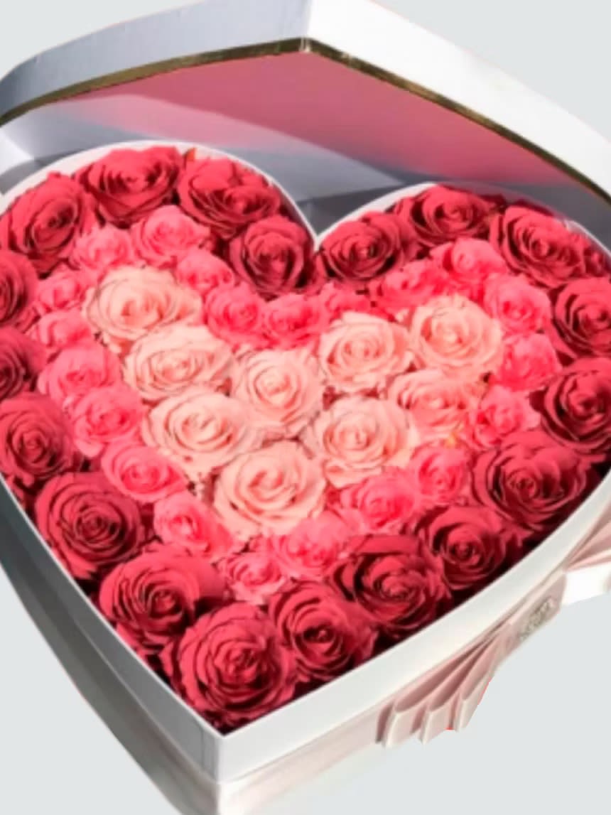 Heart-shaped box filled with pink and red roses