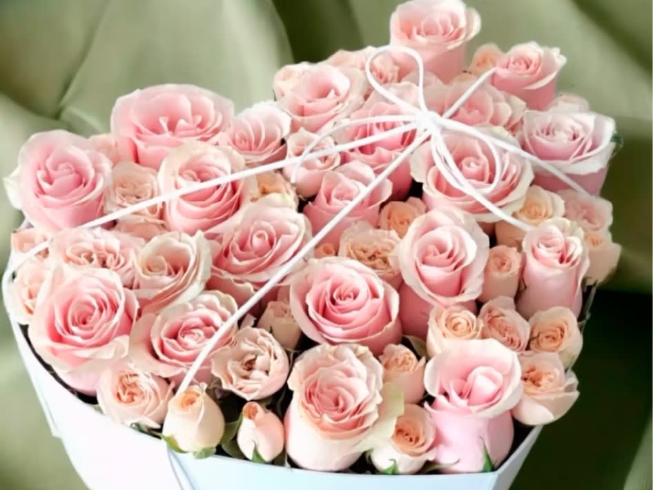 Bouquet of pale pink roses tied with white ribbon