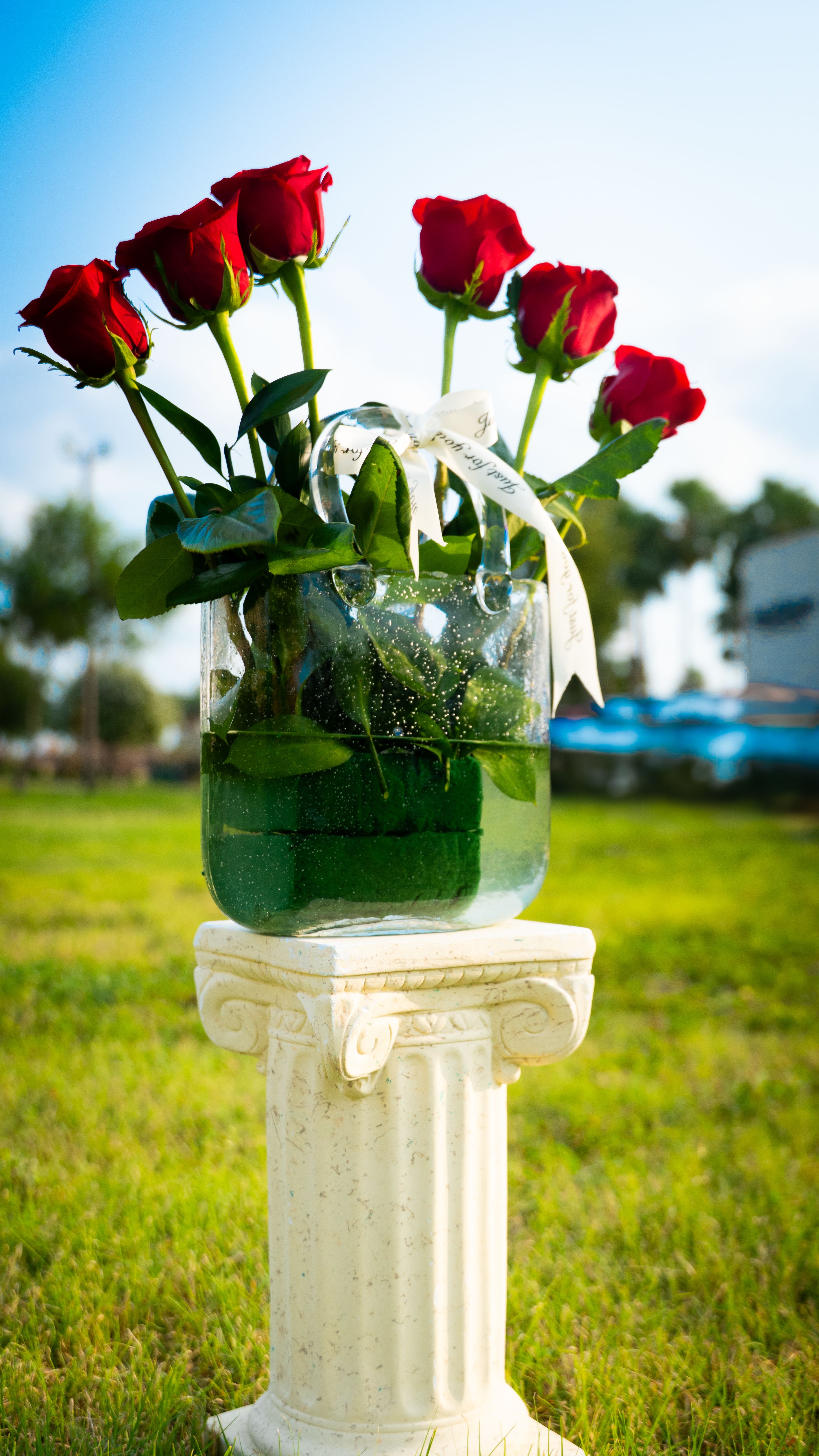 Rosa Elegance - A graceful arrangement of a premium roses, delicately gathered in a crystal-clear glass purse vase. This bouquet whispers sophistication and timeless beauty-- the perfect statement of refined elegance for any occasion.