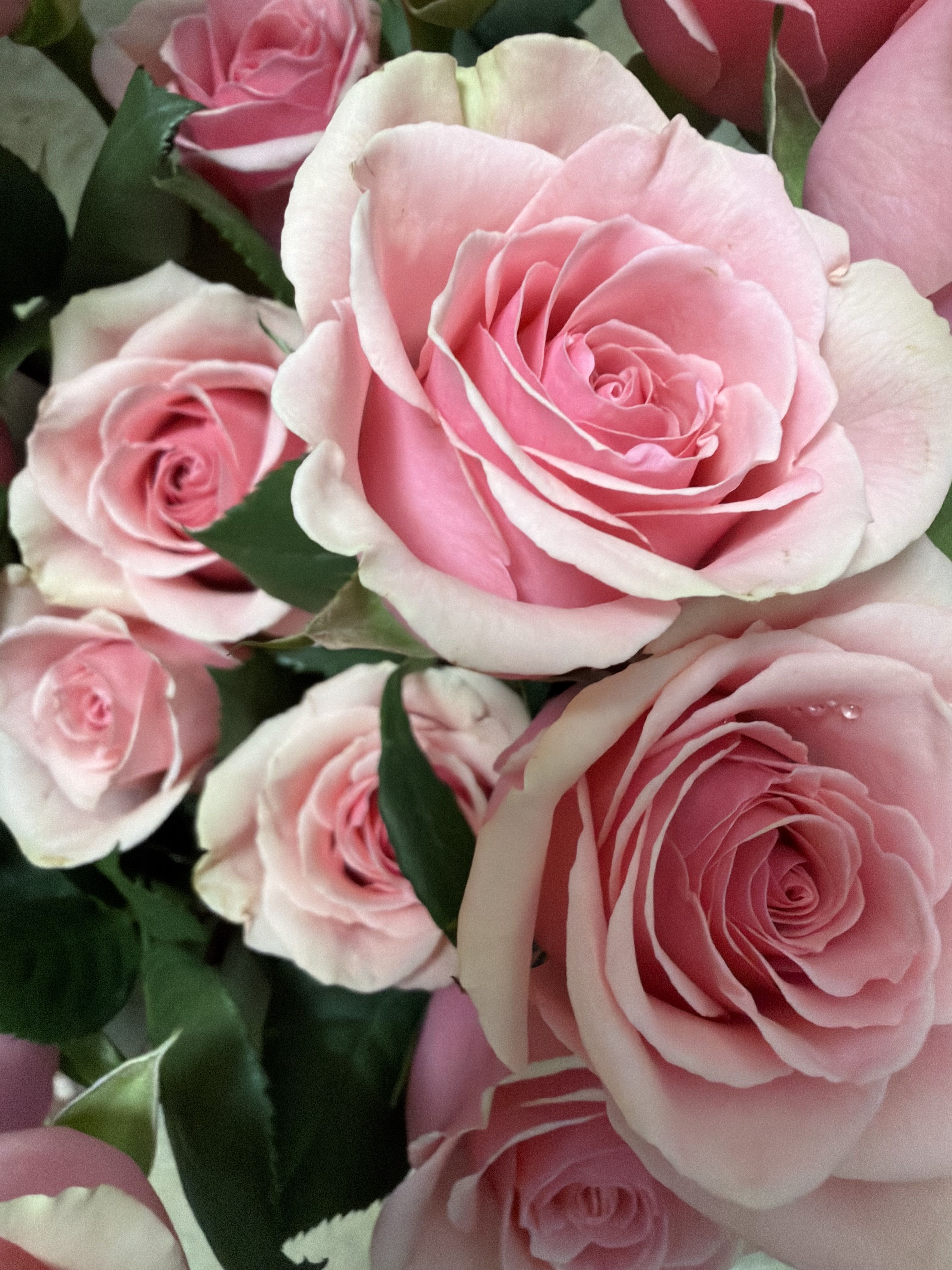 Designer Buchon  - Primium roses, together with seasonal flowers, delicate wrapped with Korean paper.