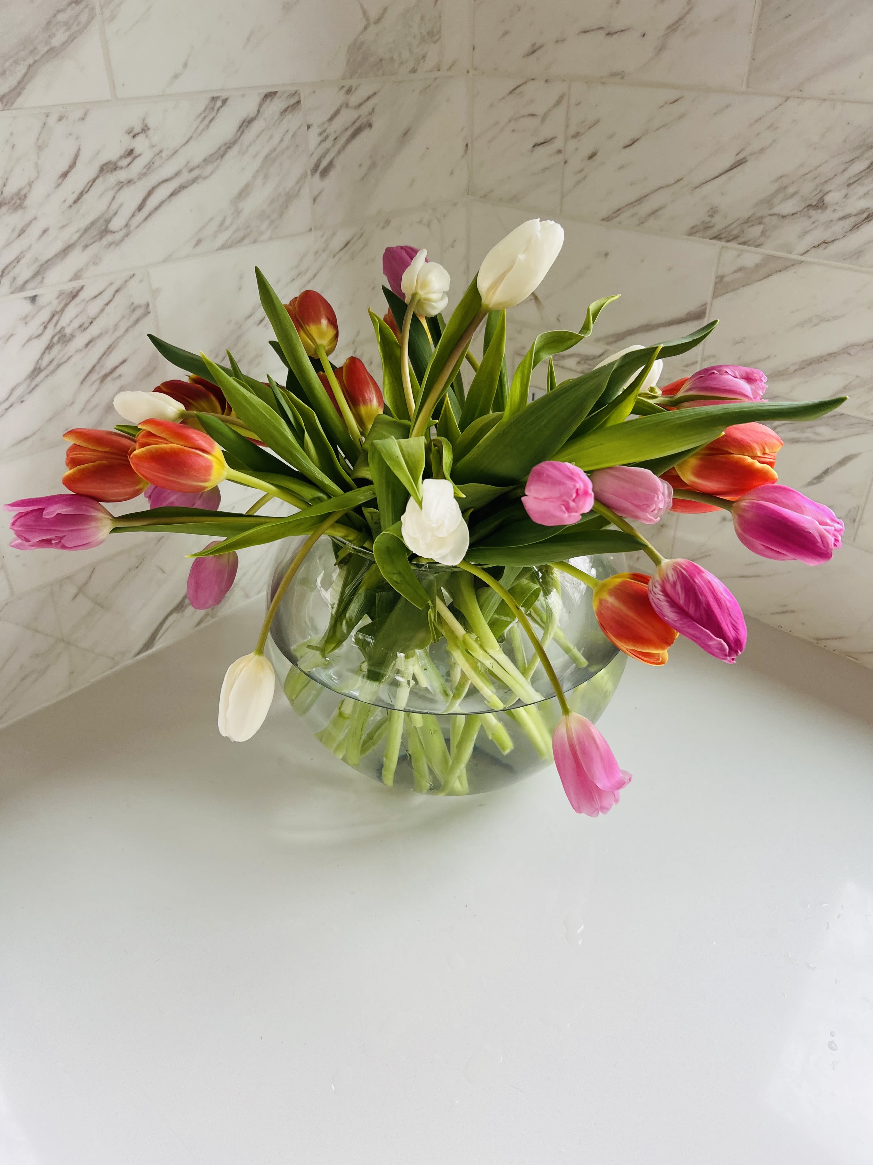 Tulips - Mixed color tulips in vase. 