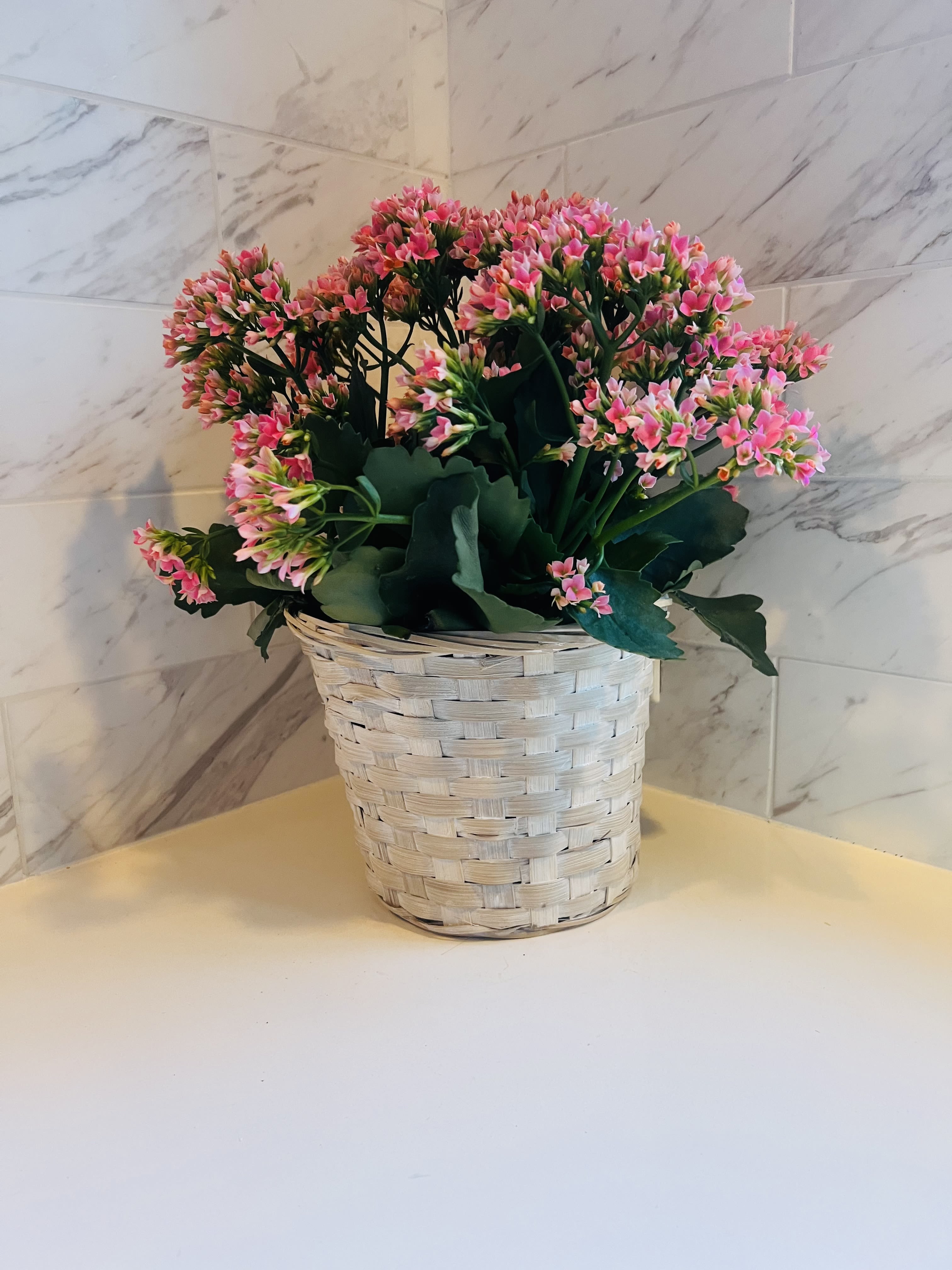 Pink flowering plant in a woven basket planter