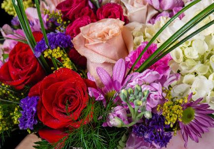 Mixed bouquet of red, pink, purple, and white flowers