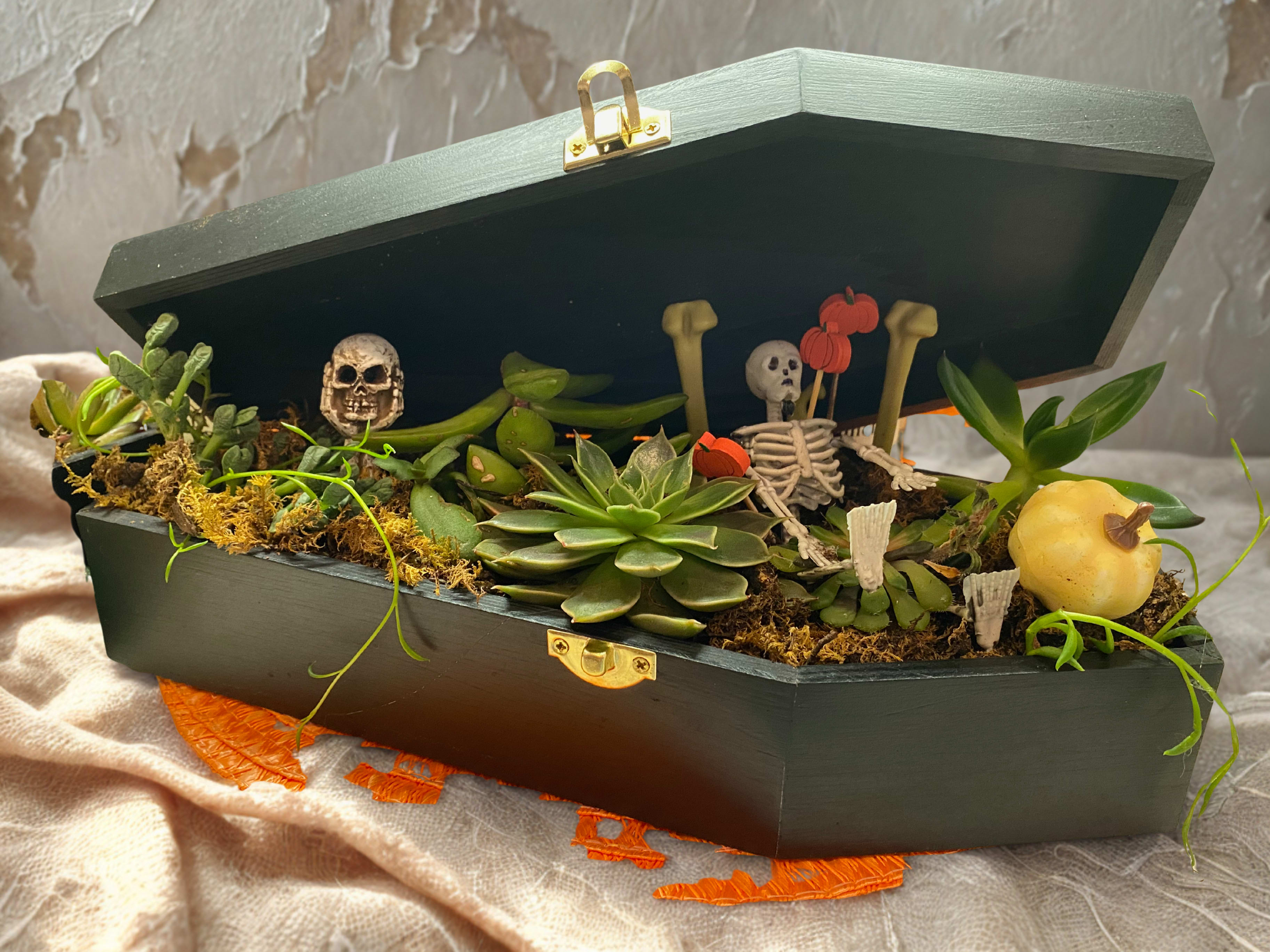 Coffin Succulent Planter - What a cute way to show off your succulents! Add a spooky touch to the coffee table! One of the best things about succulents (besides them being hard to kill) is that you can put them in pretty much anything. Send a friend this little kraft coffin. These mini arrangements will be a perfect addition to a halloween party dinner table, a small snack table or bar, or placed anywhere in the home for a little pop of green. Super easy to care for. Two sizes available. $18.00 can be an add on to your order and the $45.00 size can be delivered. 