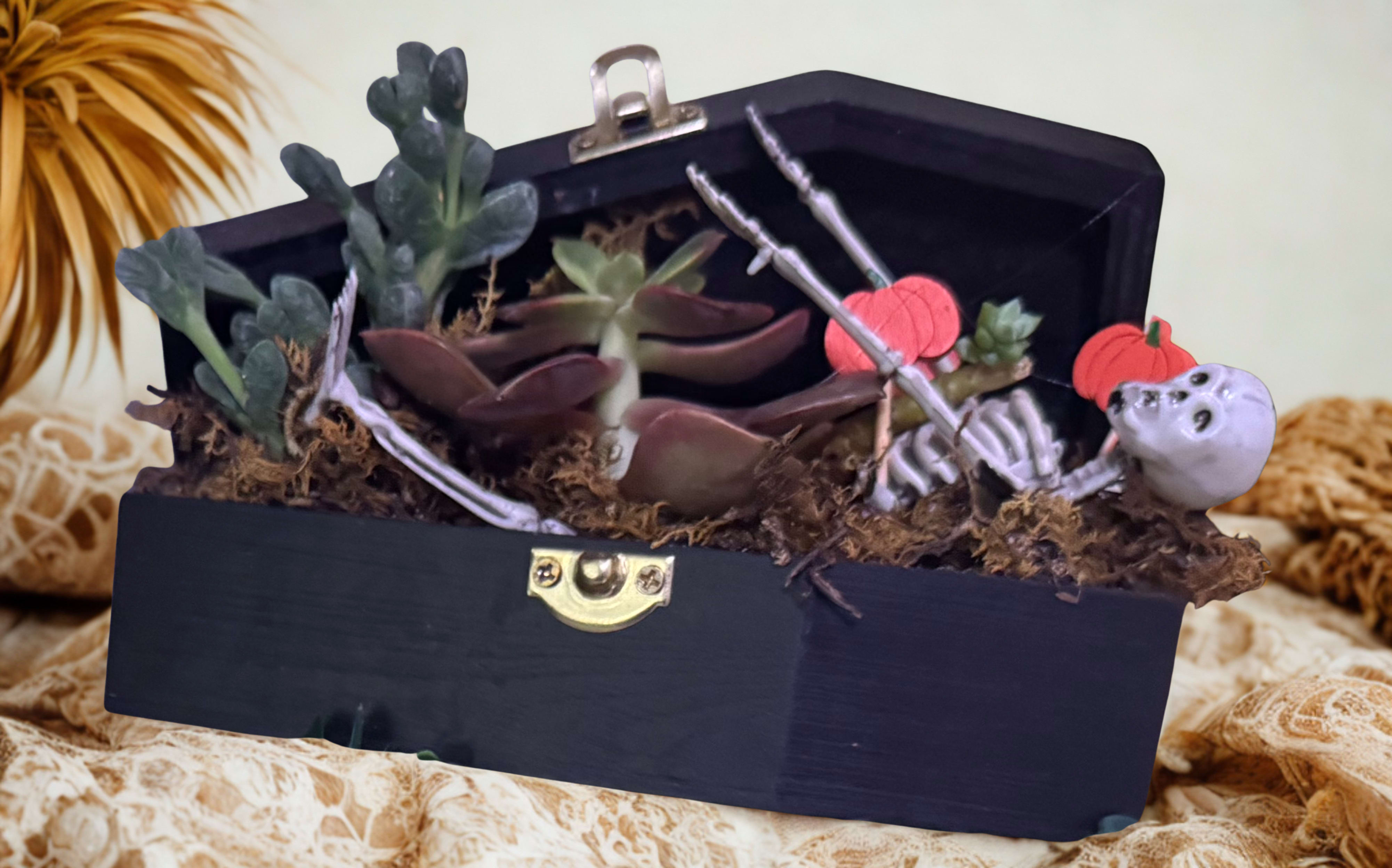 Mini Coffin with Succulents - Succulents and skeleton make for a fun and live add on gift for the season. One of the best things about succulents (besides them being hard to kill) is that you can put them in pretty much anything. Send a friend this little kraft coffin. These mini arrangements will be a perfect addition to a halloween party dinner table, a small snack table or bar, or placed anywhere in the home for a little pop of green. Super easy to care for. 