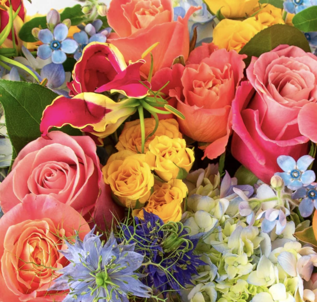 Designer's Choice - Seasonal Mix - Summer, Fall, Winter and Spring floral bouquets. 