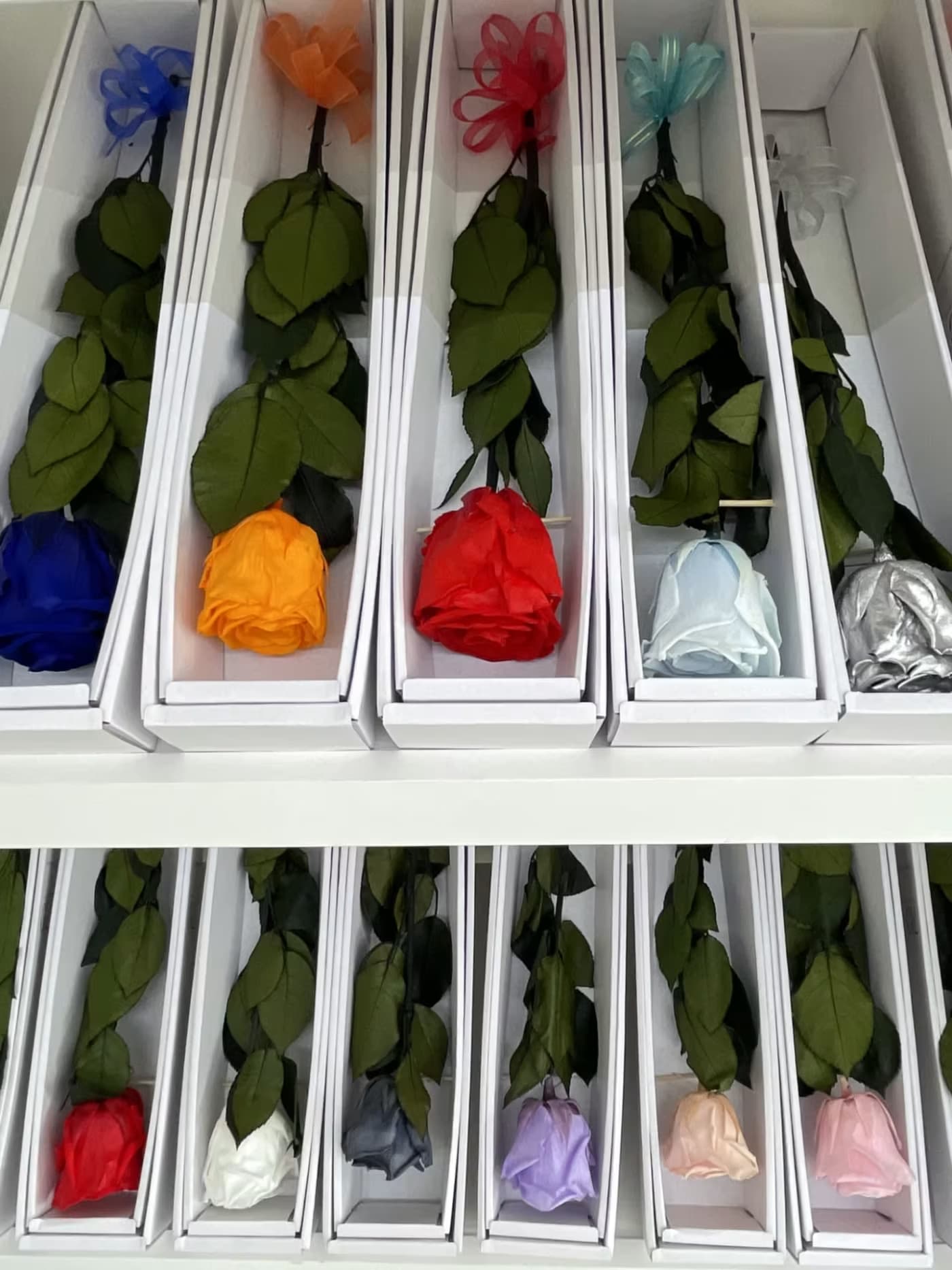 Single Preserved Real Roses - Single Preserved Real Roses