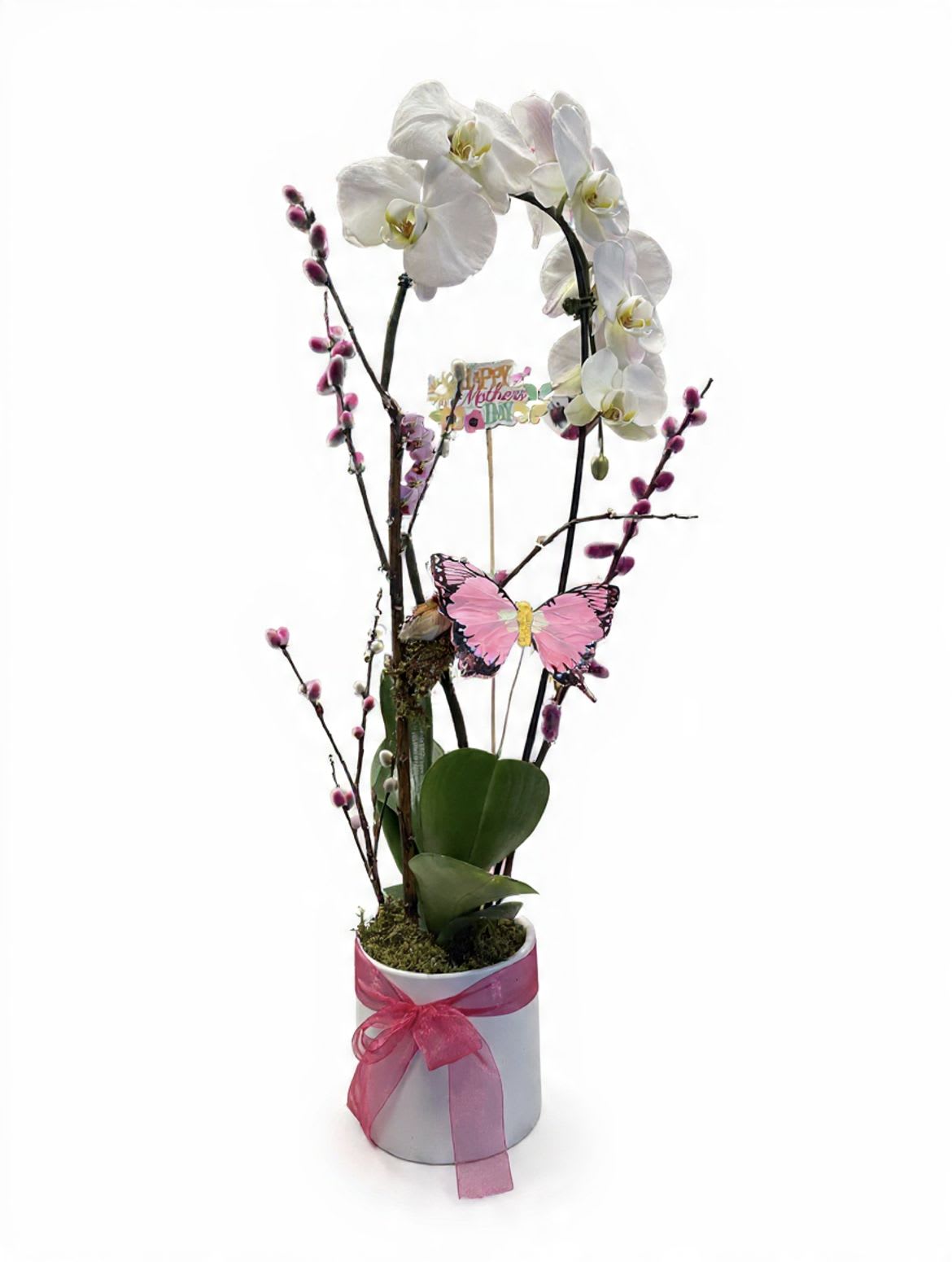 Pure Love  - A graceful white phalaenopsis orchid blooms in a sleek white ceramic pot, symbolizing pure love and lasting admiration.  This arrangement celebrates Mom with elegance that lasts far beyond a single day, just like her love.