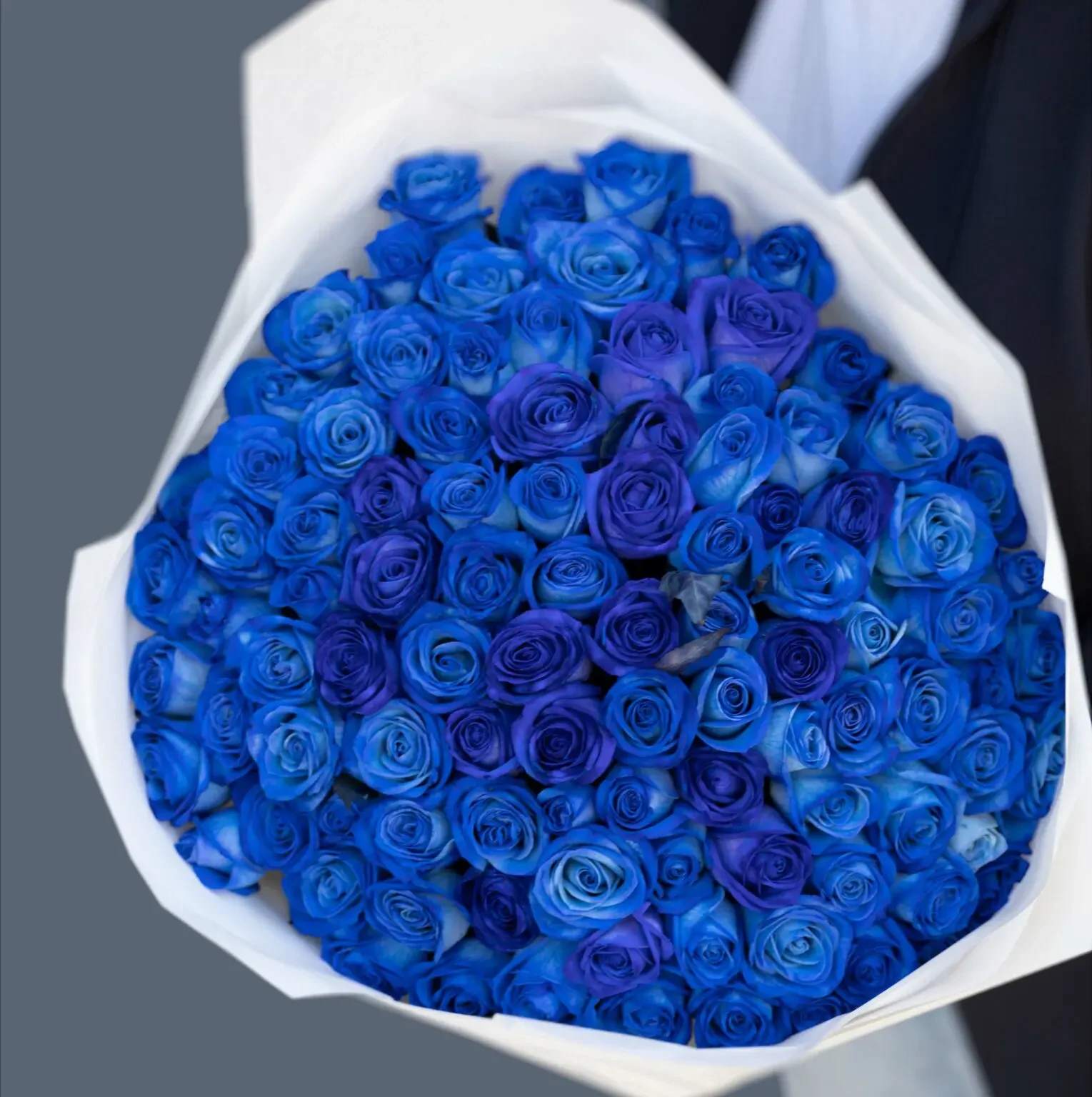 Bouquet of blue and purple roses wrapped in white paper