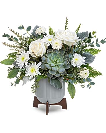 White roses and daisies arranged with a succulent in a gray pot