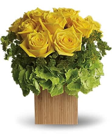 Yellow roses arranged in a square wooden container with green hydrangeas