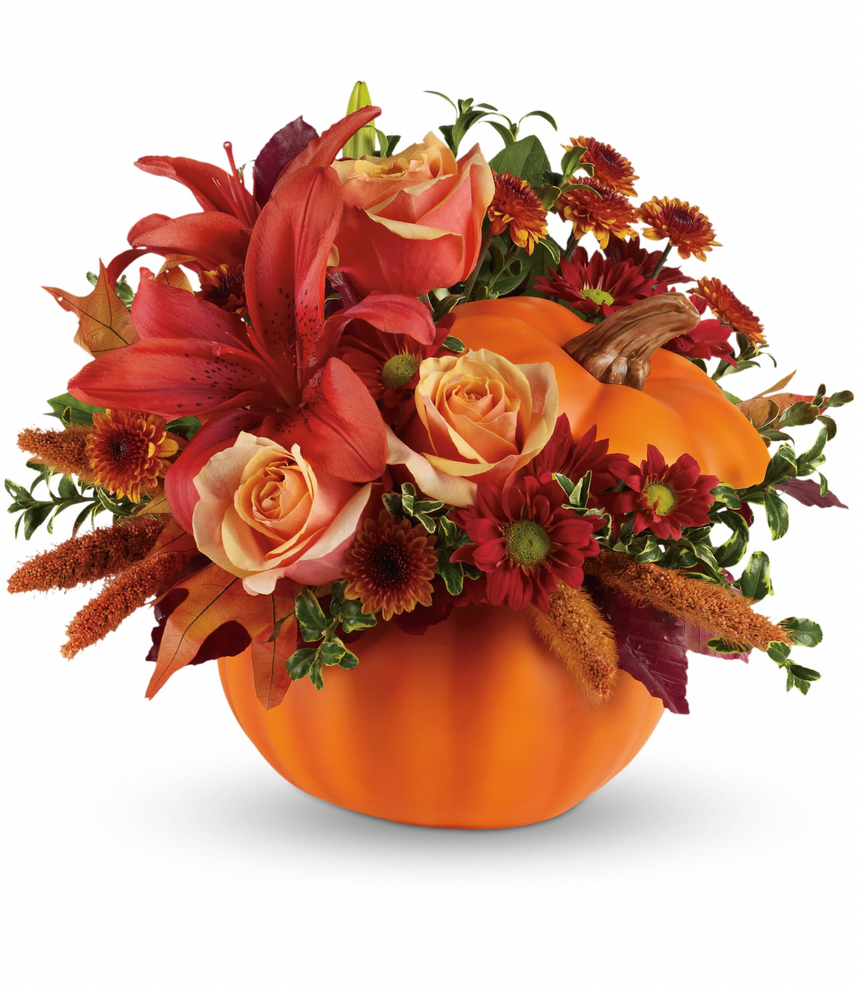 Autumn's Joy Pumpkin  - Fall in love with this charming arrangement. Orange roses, dark orange asiatic lilies, bronze button spray chrysanthemums and burgundy copper beech leaves fill our best-selling ceramic pumpkin. It's a versatile keepsake that adds character all season long.