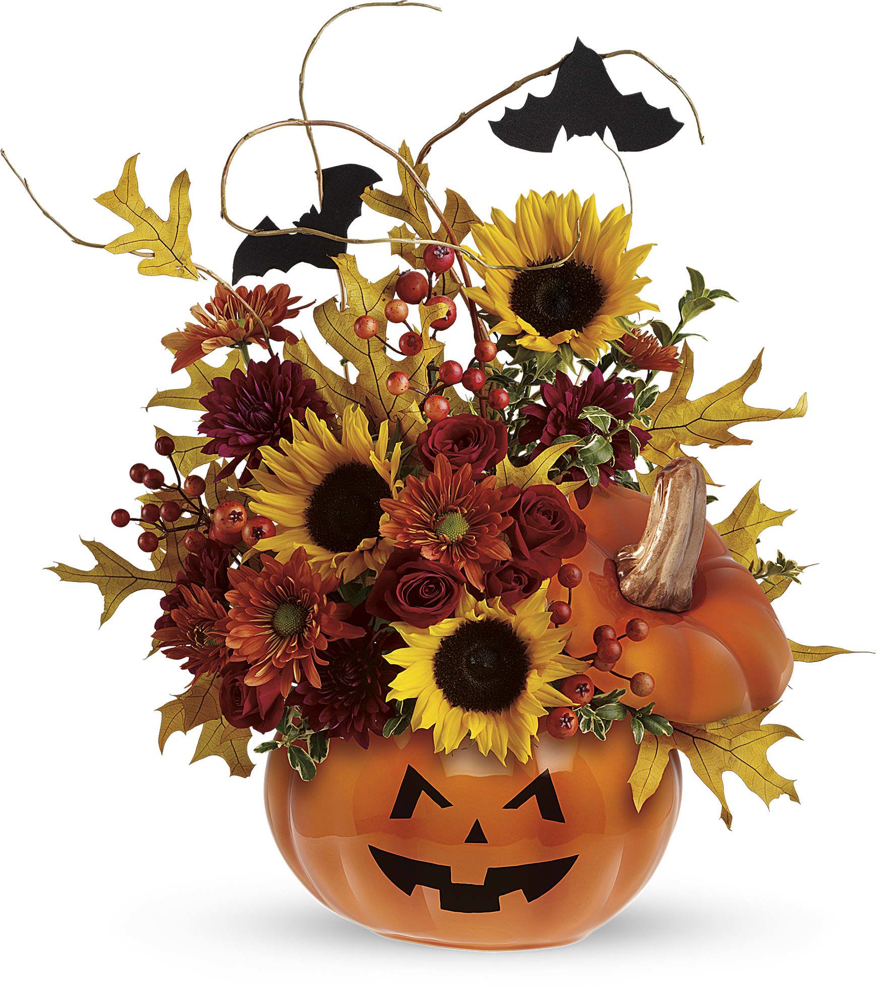 Trick &amp; Treat Bouquet - Red spray roses, bright yellow sunflowers, orange daisy spray chrysanthemums and curly willow make this bouquet so beautiful, it's scary! It's accented by two black bats and nestled inside our popular ceramic Trick &amp; Treat Pumpkin, complete with a jack-o-lantern face. Happy Halloween!