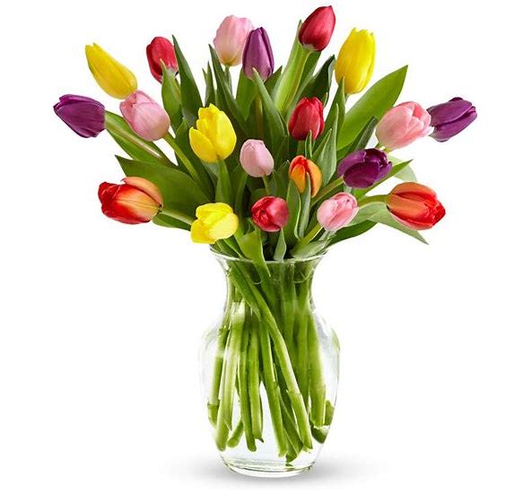 Colorful tulips arranged in a clear glass vase
