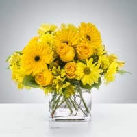 Low arrangement of bright yellow roses and daisies in a clear glass cube vase