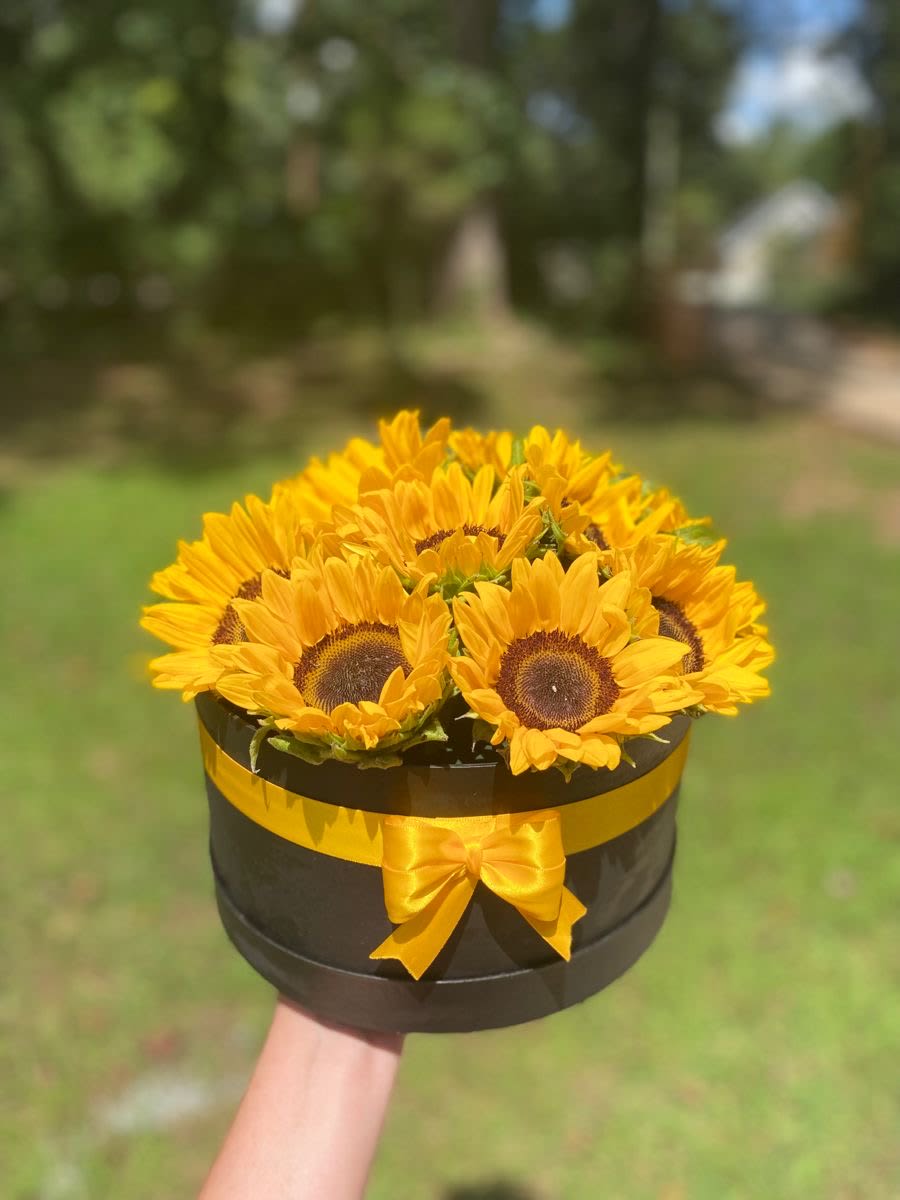 Sunflower arrangement in a black round box with a yellow ribbon