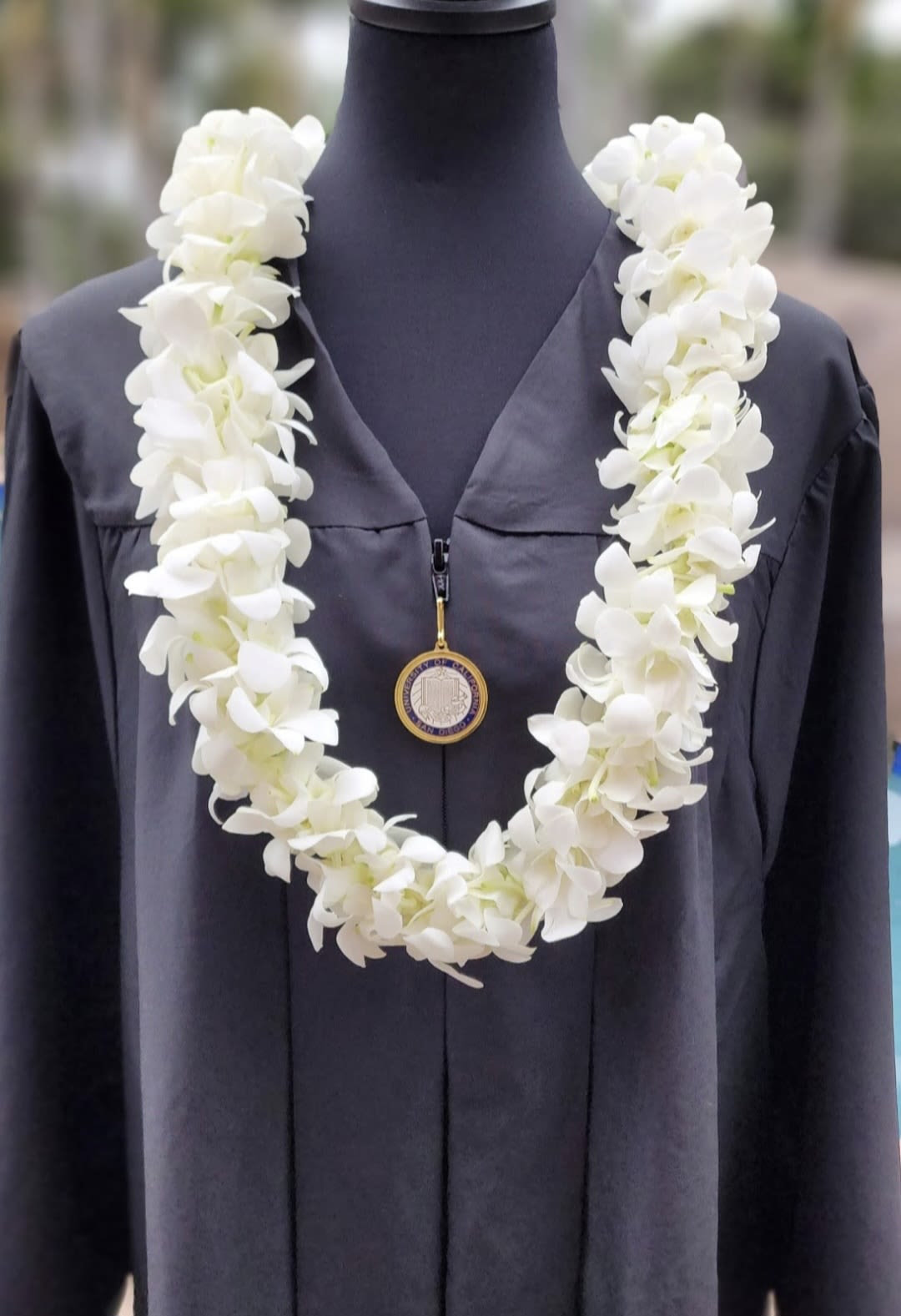 Orchid Lei - White Double Orchid - A dense, white double orchid lei draped over a dark graduation gown creates an instantly ceremonial impression-perfect as a graduation lei or for other formal milestone events. The clustered white orchid blossoms form a plush, continuous ring that reads elegant against black academic robes, making the recipient feel honored and celebrated as they walk across the stage.  Made entirely of fresh white orchids, this lei emphasizes clean simplicity with no added ribbons or trimmings, letting the orchids' petals and texture take center stage. Shown worn with a medallion necklace and gown, it pairs beautifully with traditional graduation attire and fits comfortably around the neck for photos and ceremonies. Order timed for graduation day to ensure peak freshness; light misting and cool storage before presentation will help maintain the orchids' natural beauty.
