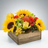 Picnic by BloomNation™ - Summer in a box! Everybody loves a picnic! Featuring sunflowers, a pincushion protea, and cymbidium orchids, this arrangement is a great option to send to somebody celebrating the summer season.  Approximate Dimensions: 12"D x 8"H
