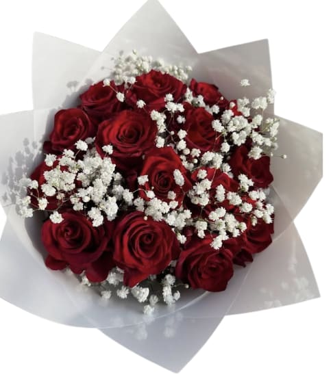Bouquet of red roses with white baby's breath in white wrap