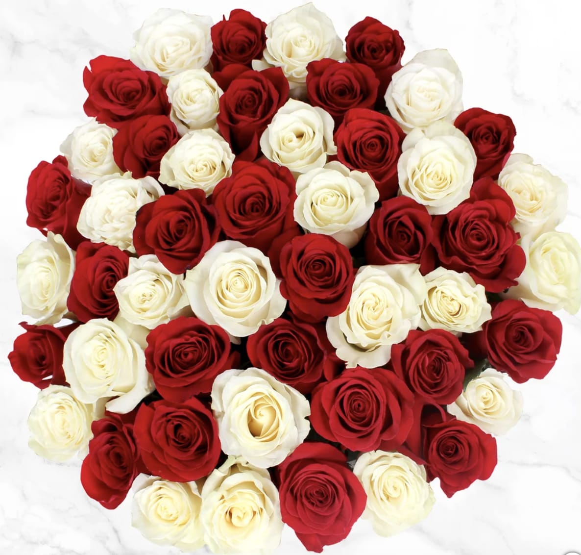 Bouquet of red and white roses arranged in a dense cluster