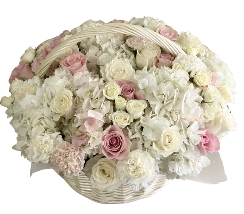 Large Basket of Flowers - Basket of hydrangeas, pink and white spray roses, roses and carnations