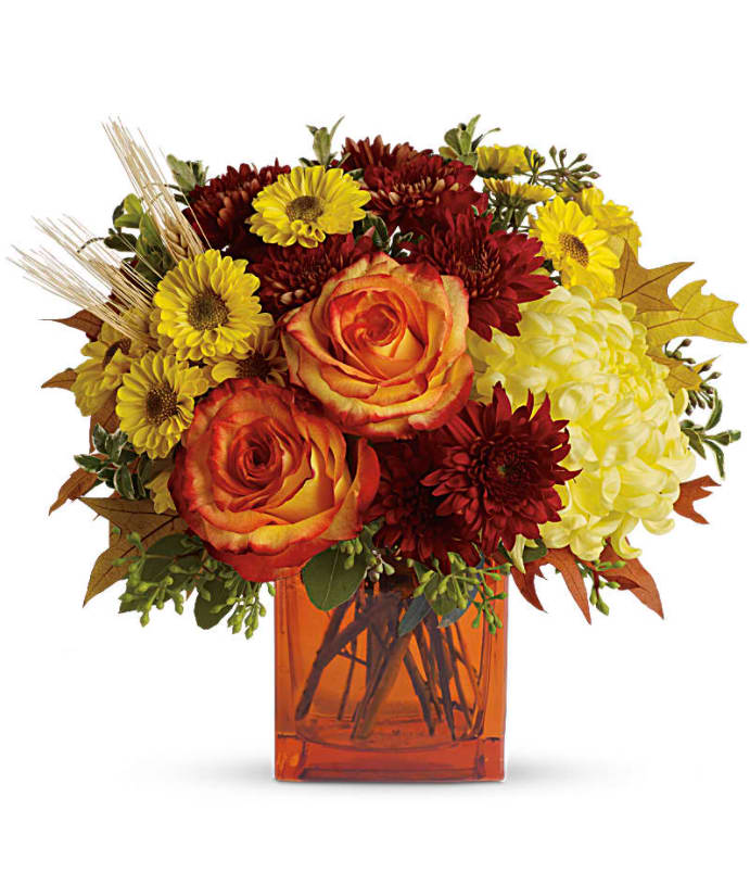 Teleflora's Autumn Expression - Bring a bright contemporary touch to this glorious season with a chic fall bouquet in a stylish orange cube vase. Subtly sensational, it's a great gift for faraway friends. The stylish contemporary arrangement includes yellow cushion spray chrysanthemums, bi-color orange roses, rust cushion spray chrysanthemums, yellow disbud chrysanthemum and yellow Viking spray chrysanthemums accented with assorted greenery. Delivered in an orange cube vase. Orientation: All-Around