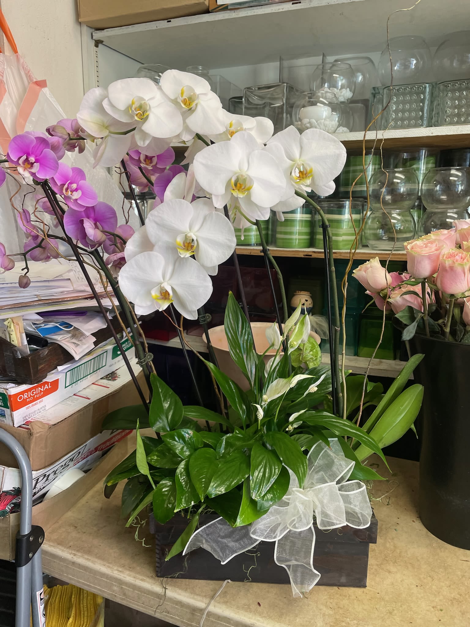 White and purple orchids in a black planter with a white ribbon bow