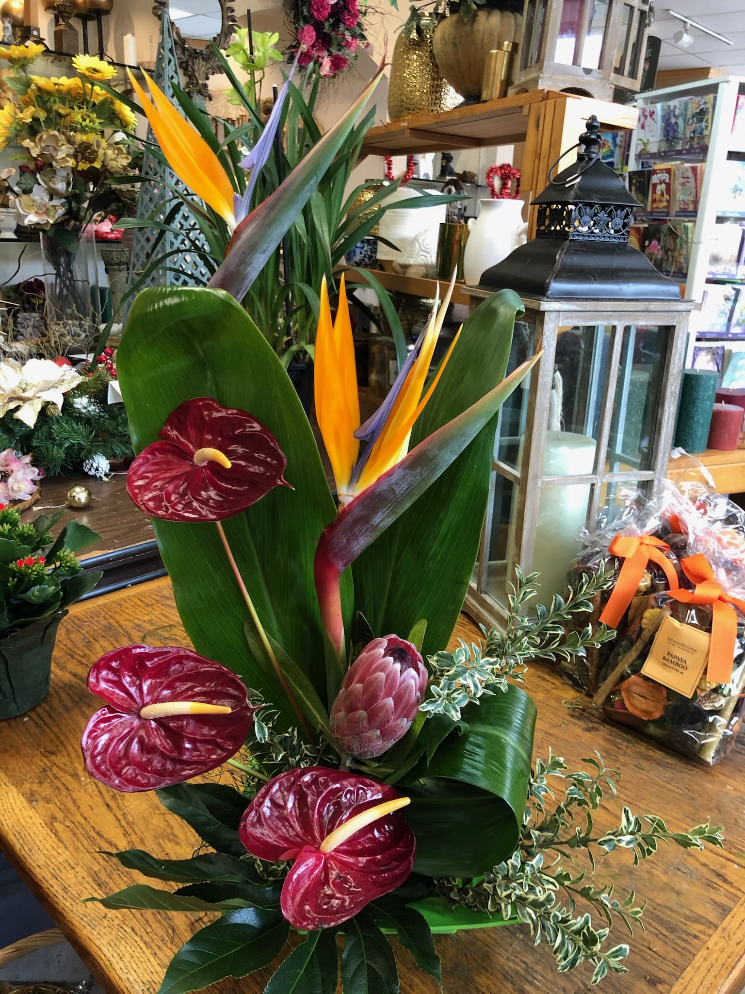 Tropical arrangement with red anthuriums and bird of paradise flowers