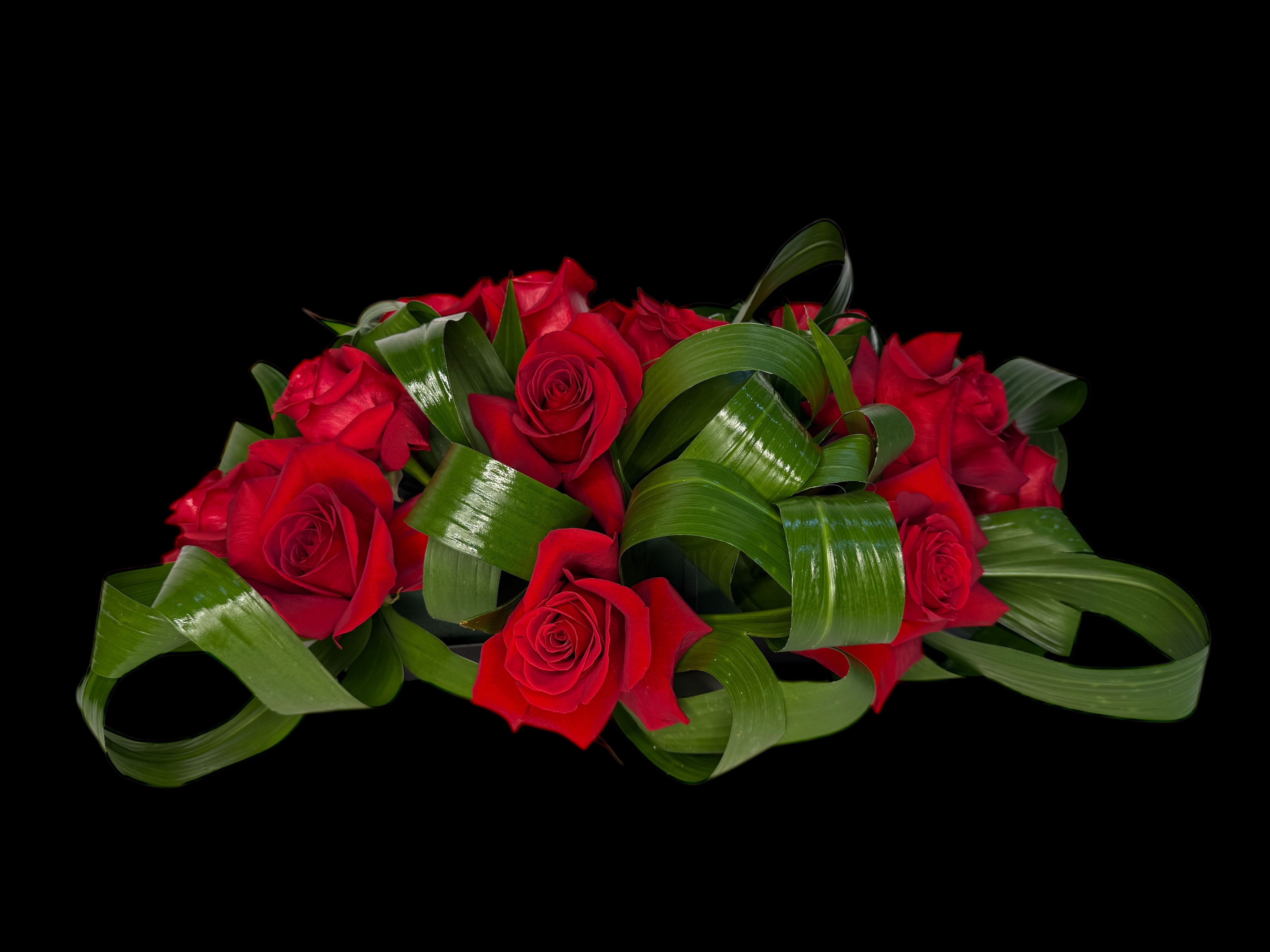 Red roses arranged with looping green leaves on a black background