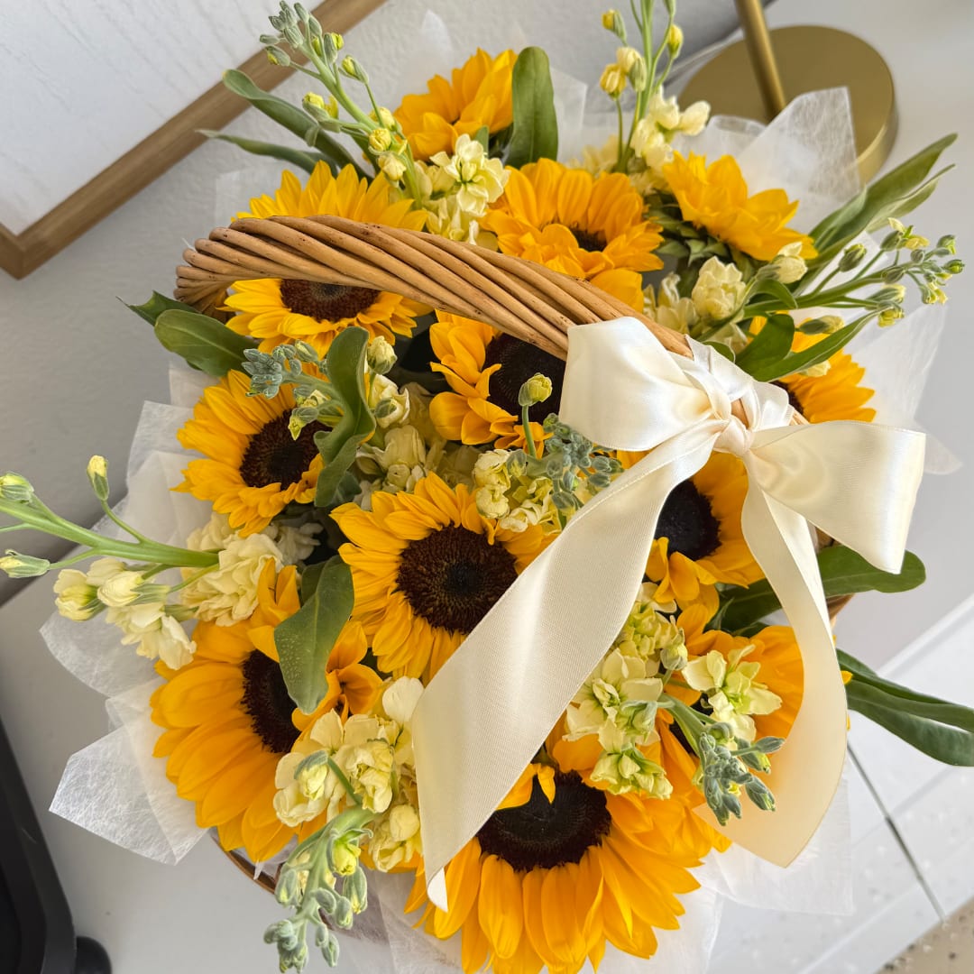 Basket bouquet of sunflowers with cream ribbon
