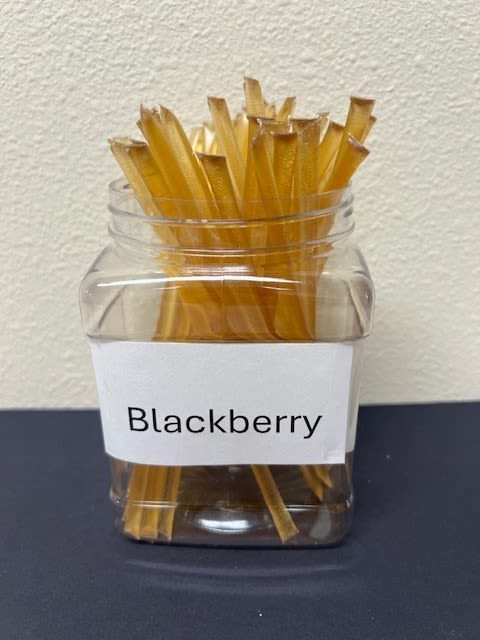 Clear jar filled with amber-colored sticks labeled Blackberry