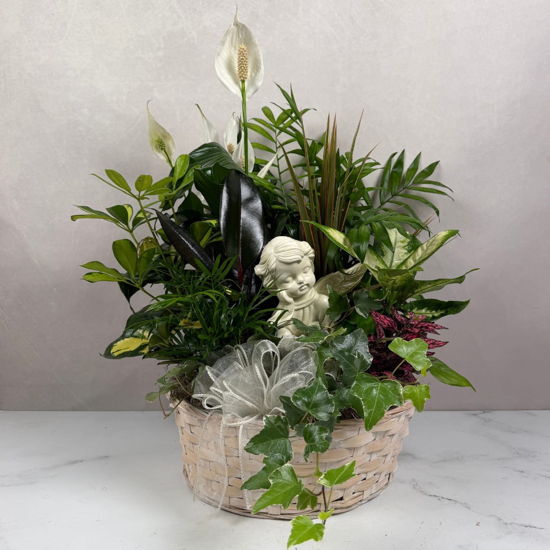 Mixed potted plants in a woven basket with a small angel figurine