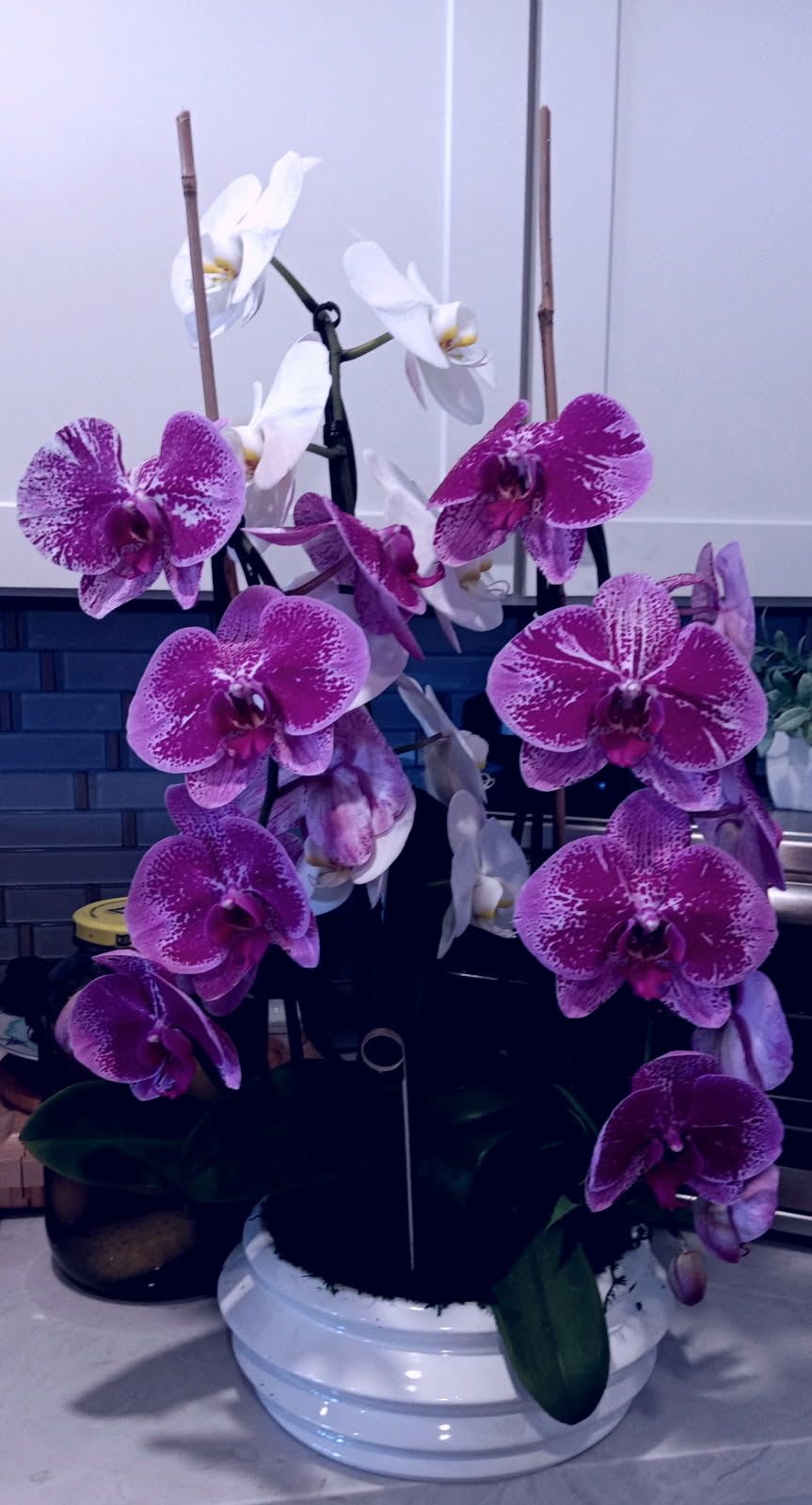 VD 40 - Orchid Arrangement. Each bloom, carefully selected, offers a mesmerizing display of nature's artistry. 